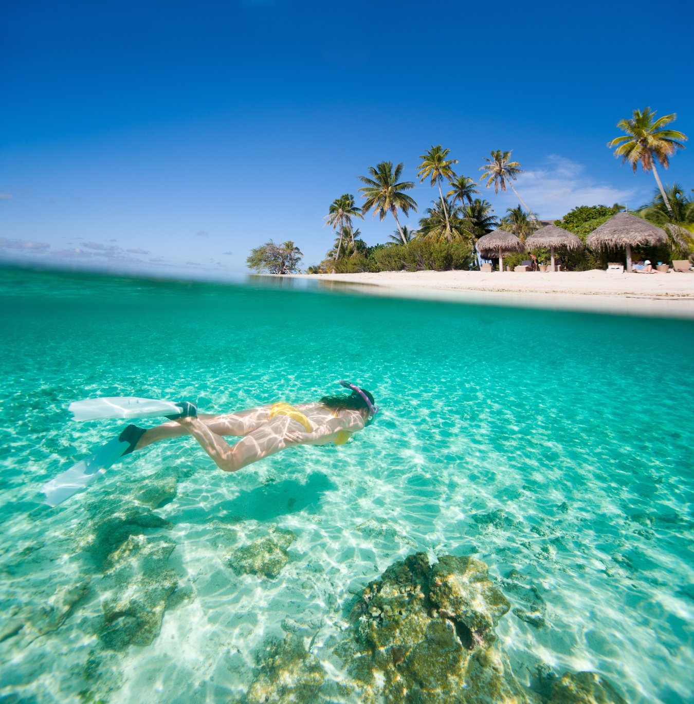 Woman swimming in the clear waters of Hawaii